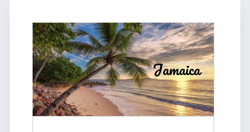 A6 Jamaica Vellum Wallet, tracker, zip wallet for Cash Stuffing, Budgeting, Wallets, Save, Cash, Organise