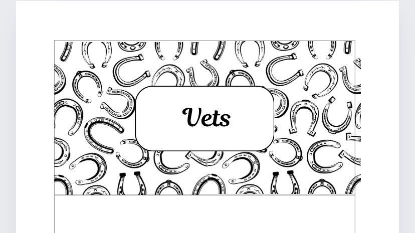 A6 Horse themed Vets Vellum Wallet for Cash Stuffing, Budgeting, Wallets, Save, Cash, Organise
