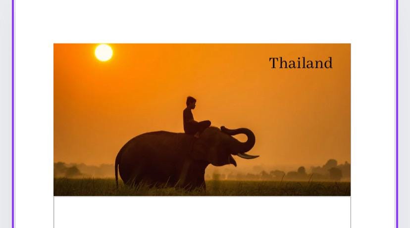 A6 Thailand Vellum Wallet for Cash Stuffing, Budgeting, Wallets, Save, Cash, Organise