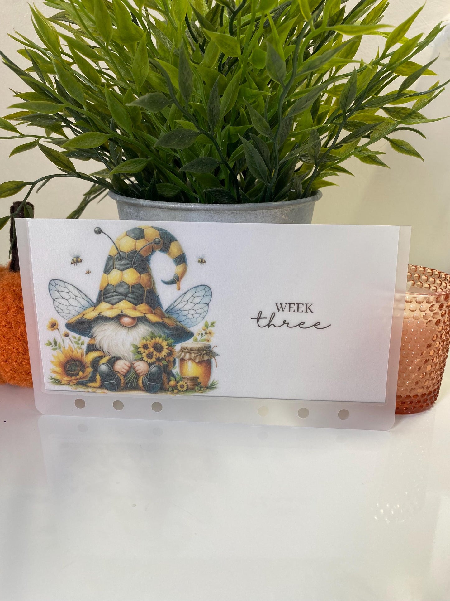 Week 1-5 Bumble Bee Vellum Wallets, weekly/monthly cash stuffing