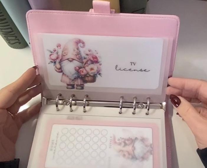 Pink floral Gonk Design Vellum wallet, cash Stuffing, Budgeting, A6 binder, Save money, Envelope method, Budget, Challenge