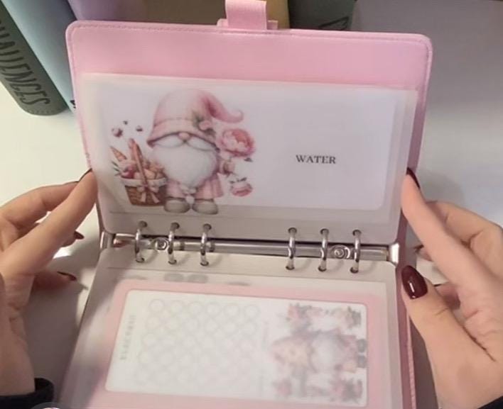 Pink floral Gonk Design Vellum wallet, cash Stuffing, Budgeting, A6 binder, Save money, Envelope method, Budget, Challenge