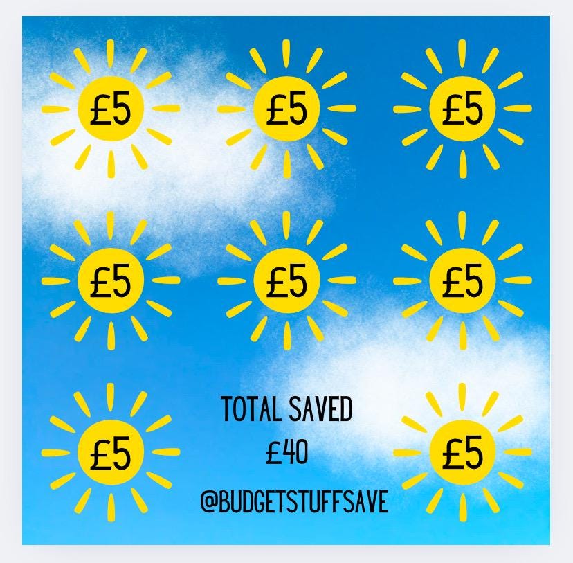 Sunshine Mini Tracker, Cash Stuffing, Budgeting, Budget Binder, Tracker, Save, Money, Challenge