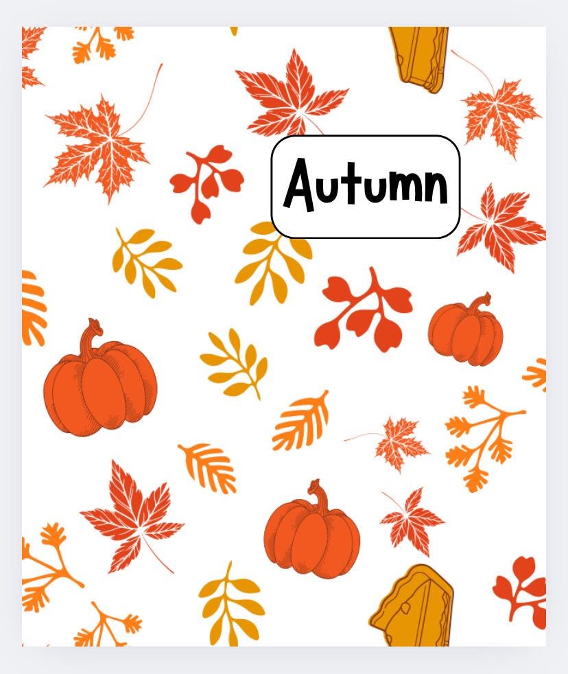 A6 ‘4 Seasons’ Dashboards (Set of 4)