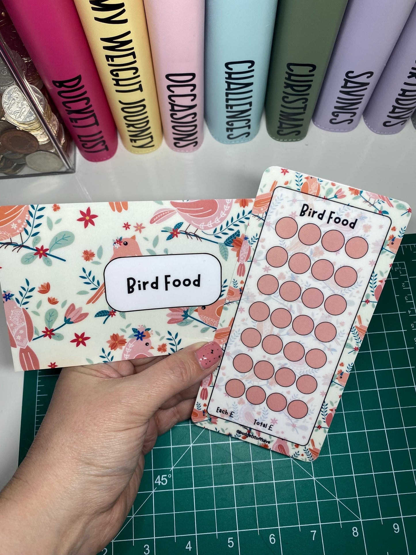 Bird Food Saver, Cash Stuffing, Budget Binder Trackers, Save Money, Cash Envelopes, Budgeting, Money Saver, Presents, Gifts