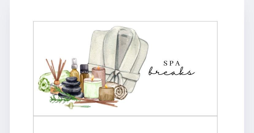 Spa Breaks Vellum Wallet, Cash Stuffing, Budgeting