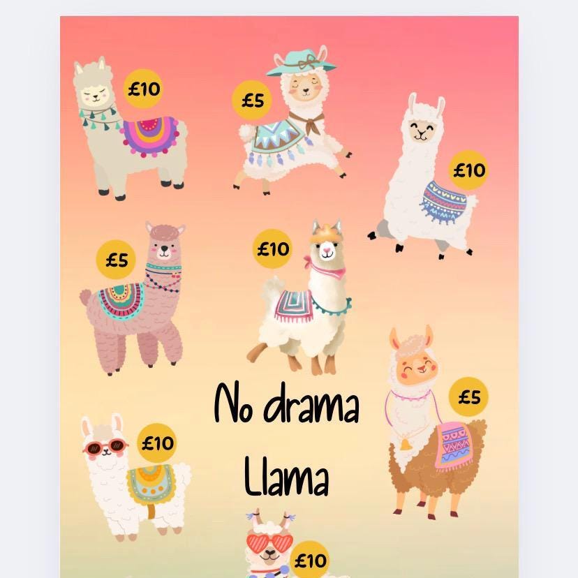 No drama Llama Saver, Cash Stuffing, Budget Binder Trackers, Save Money, Cash Envelopes, Budgeting, Money Saver, Presents, Gifts