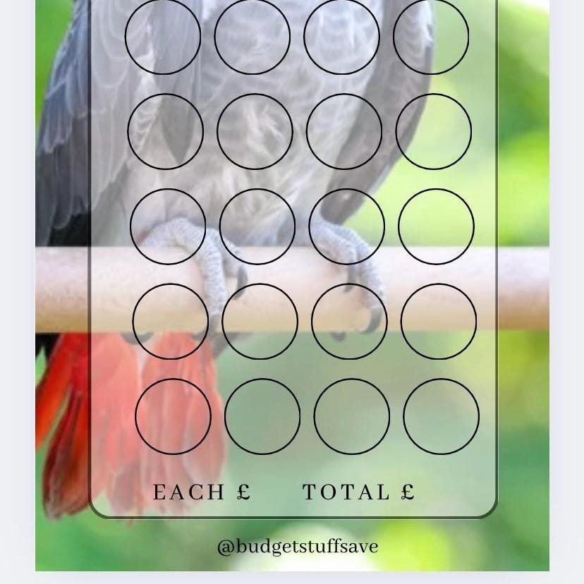 African Grey Parrot Savings Tracker, Cash Stuffing, Budget Binder Trackers, Save Money, Cash Envelopes, Budgeting, Money Saver