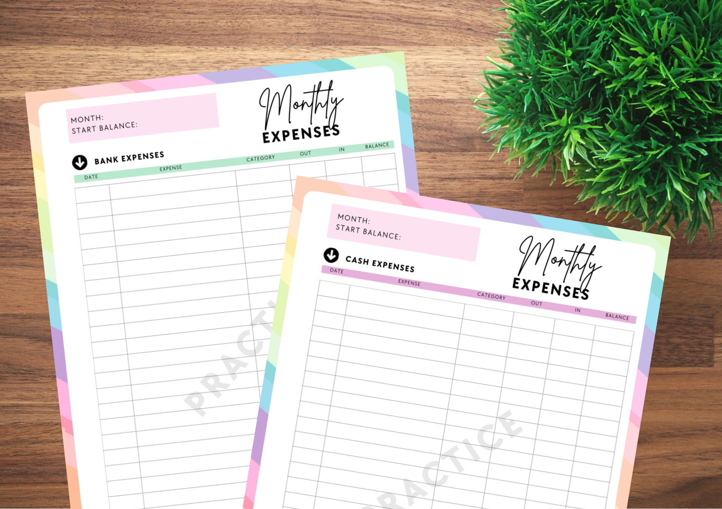 Cash and Bank Expenses DIGITAL DOWNLOAD