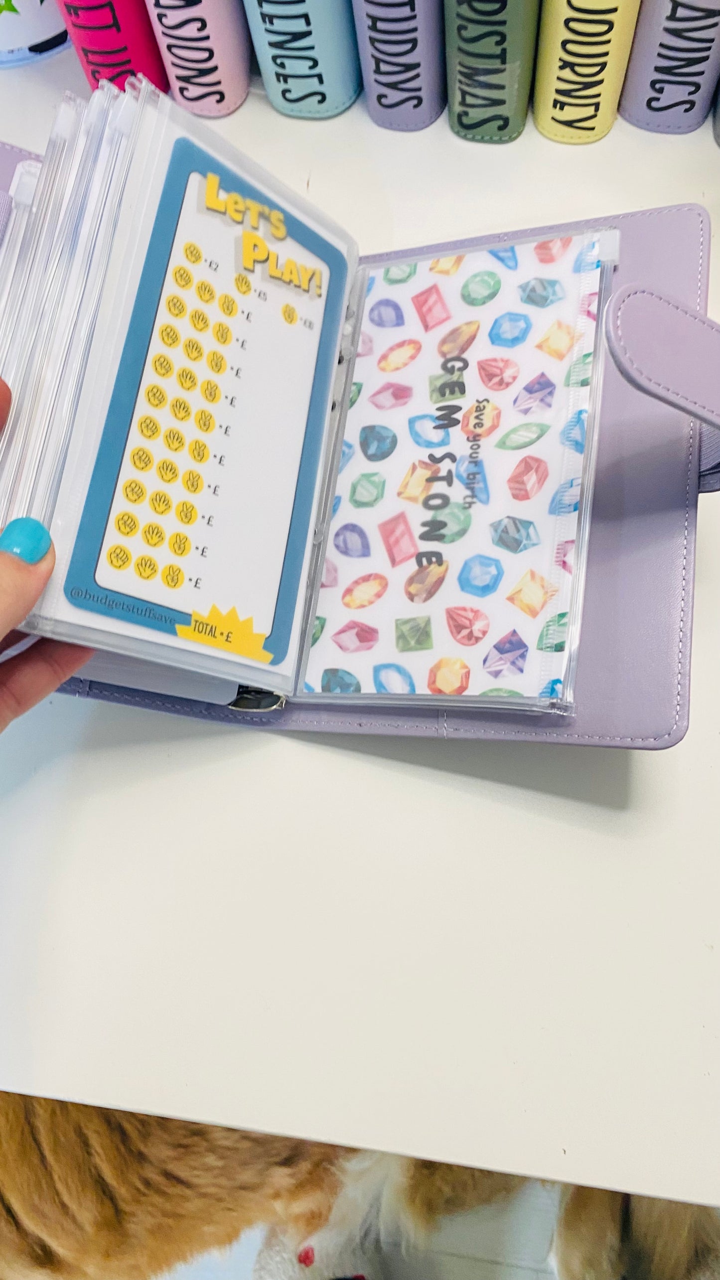 Mystery Challenge Binder