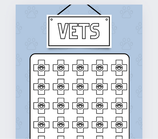 Vets Savings Tracker, Cash Stuffing, Budgeting