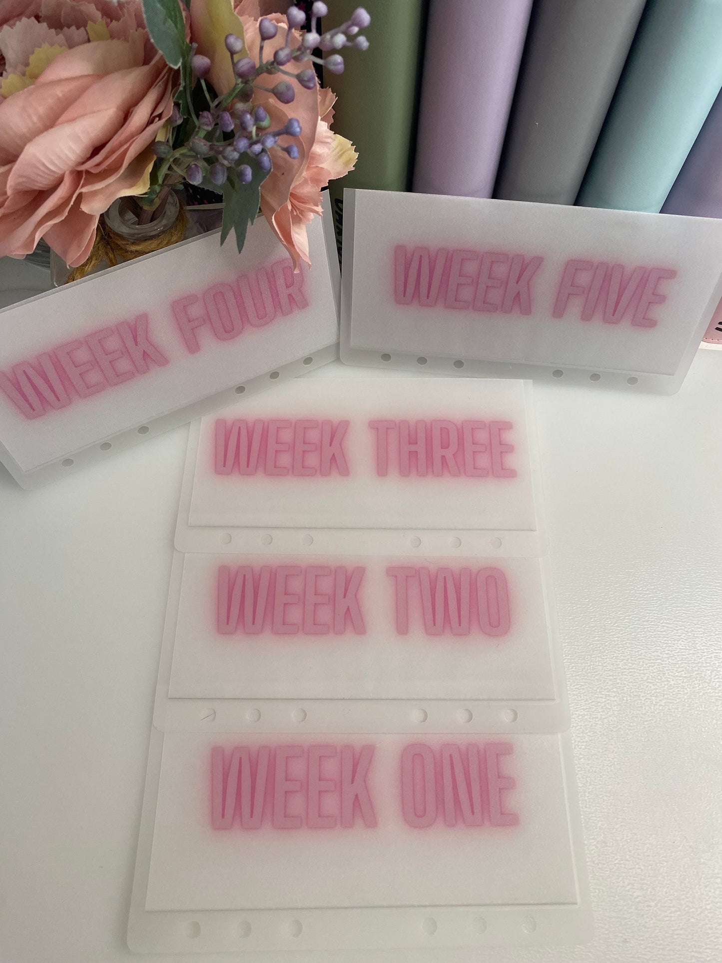 Week 1-5 NEON BOLD Vellum Wallets, weekly/monthly cash stuffing