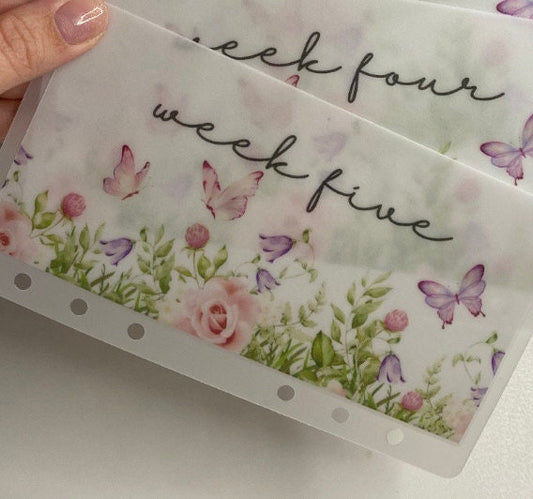 Individual Butterfly designs A6 VELLUM Wallet, Personalised with your choice of wording, Cash Stuffing