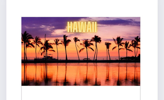Hawaii tracker and vellum wallet, cash Stuffing, Budgeting, A6 binder, Save money,  Envelope method, Budget,