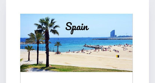 A6 Spain Vellum Wallets for Cash Stuffing, Budgeting, Wallets, Save, Cash, Organise