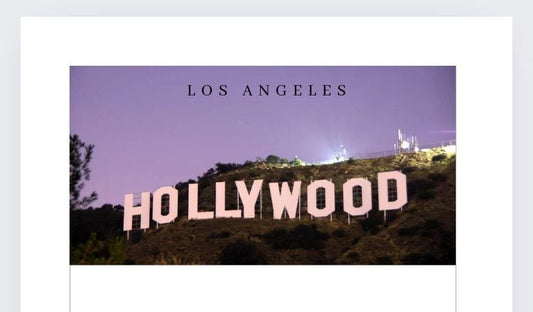 A6 Los Angeles Vellum Wallet, zip wallet and tracker for Cash Stuffing, Budgeting, Wallets, Save, Cash, Organise