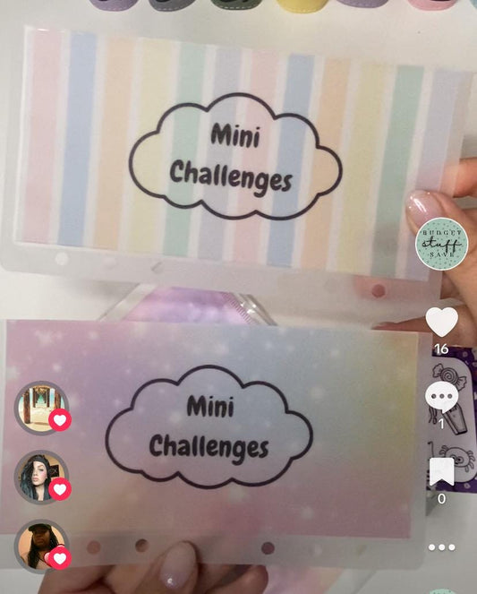A6 Mini Challeges Vellum Wallets/zip wallet for Cash Stuffing, Budgeting, Wallets, Save, Cash, Organise