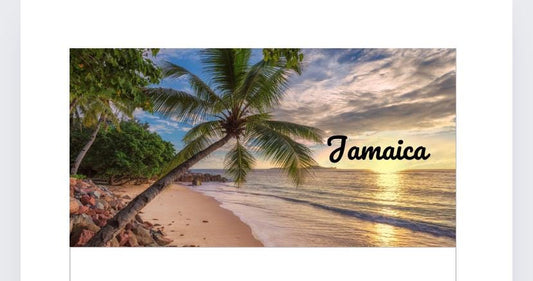 A6 Jamaica Vellum Wallet, tracker, zip wallet for Cash Stuffing, Budgeting, Wallets, Save, Cash, Organise