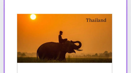 A6 Thailand Vellum Wallet for Cash Stuffing, Budgeting, Wallets, Save, Cash, Organise