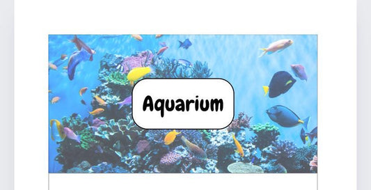 A6 Aquarium Vellum Wallet and tracker for Cash Stuffing, Budgeting, Wallets, Save, Cash, Organise