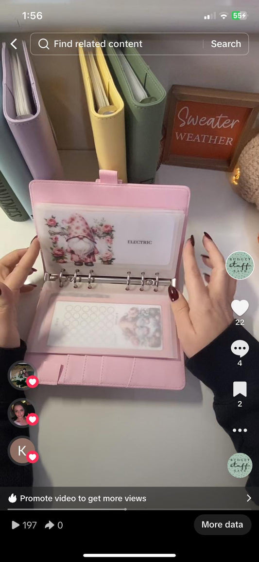Pink floral Gonk Design Vellum wallet, cash Stuffing, Budgeting, A6 binder, Save money,  Envelope method, Budget, Challenge