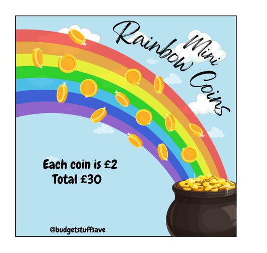 Mini Rainbow Coins Budget Tracker, Cash Stuffing, Budget Binder, pocket money, cash envelope
