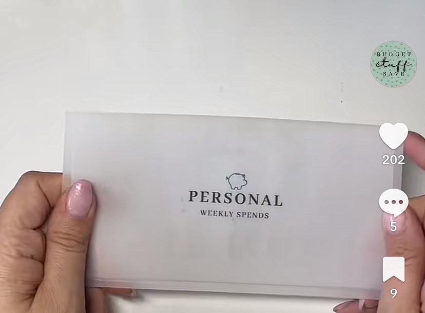 CLASSIC ‘purse sized’ Vellum Wallets for Cash Stuffing, Budgeting, Wallets, Save, Cash, Organise