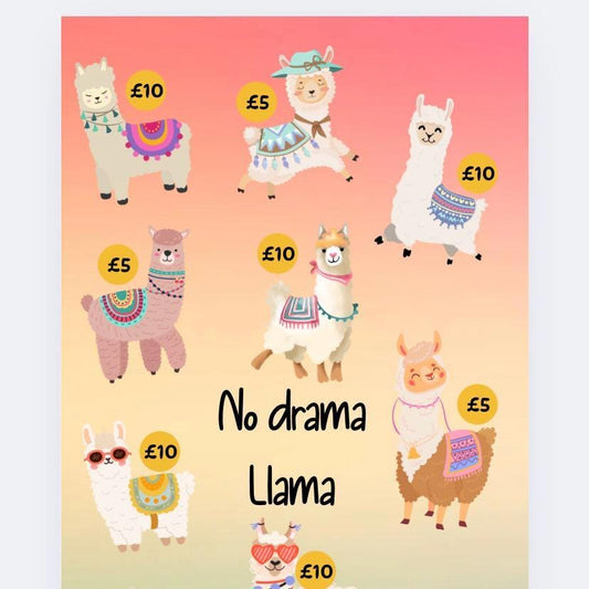 No drama Llama Saver, Cash Stuffing, Budget Binder Trackers, Save Money, Cash Envelopes, Budgeting, Money Saver, Presents, Gifts
