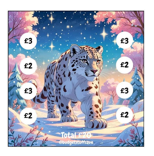Snow Leopard Mini Challenge, Cash Stuffing, Pocket Money, Budgeting, Budget Binder