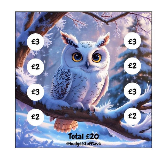 Owl Mini Challenge, Cash Stuffing, Pocket Money, Budgeting, Budget Binder