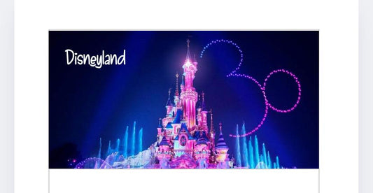 A6 Disneyland Vellum Wallet for Cash Stuffing, Budgeting, Wallets, Save, Cash, Organise